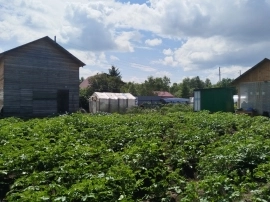 Дача 60 м², участок 8.4 соток